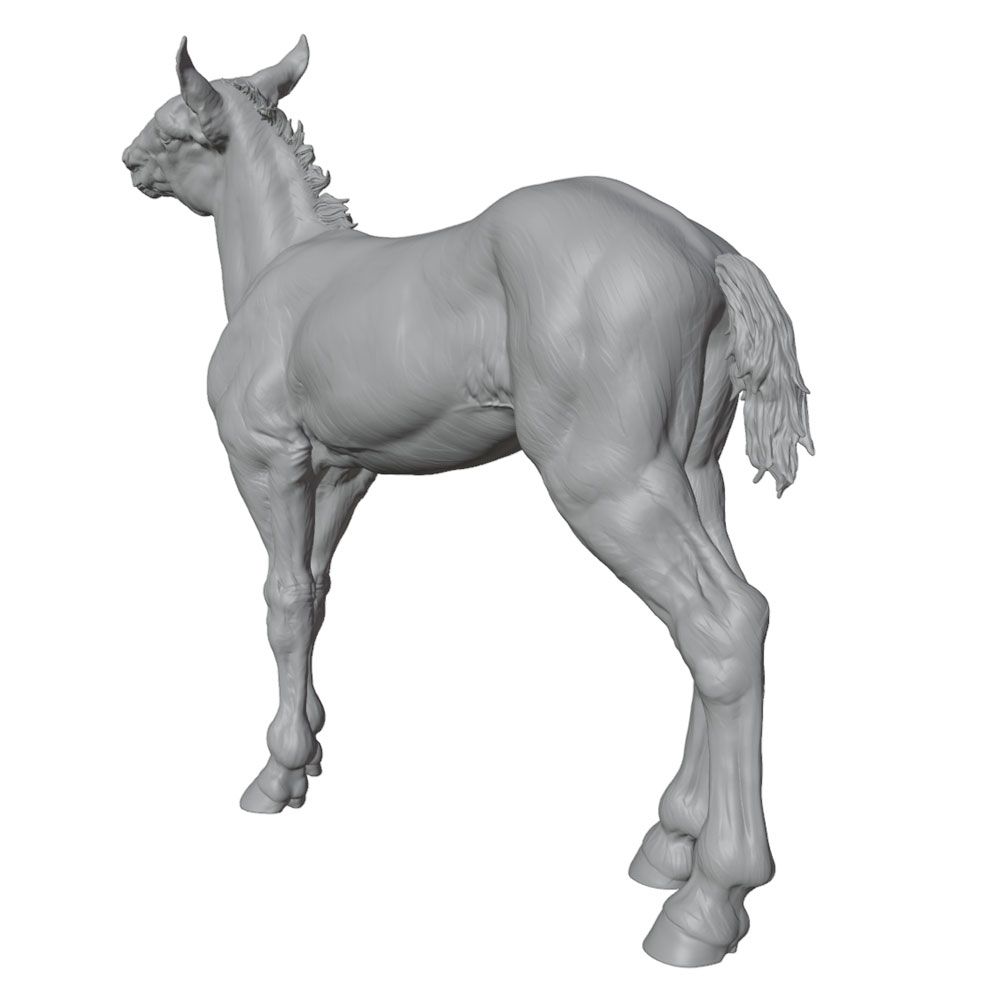 Precyzyjny nadruk, realistyczn – 3D Printing Mockup recenzja i cena
