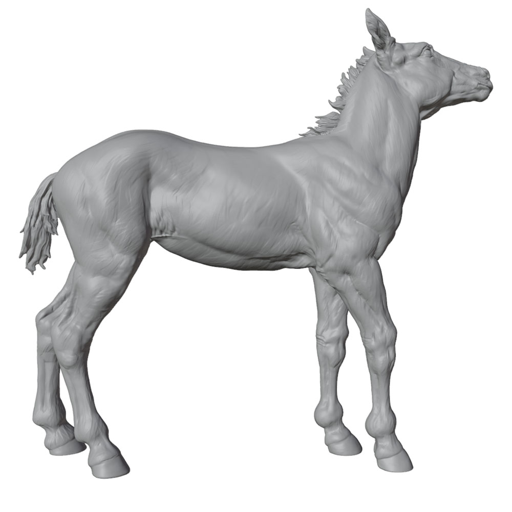 Precyzyjny nadruk, realistyczn – 3D Printing Mockup recenzja i cena